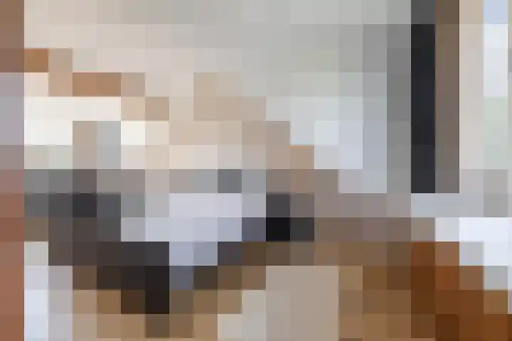 Vogelwikke 7 Roden thumbnail 7