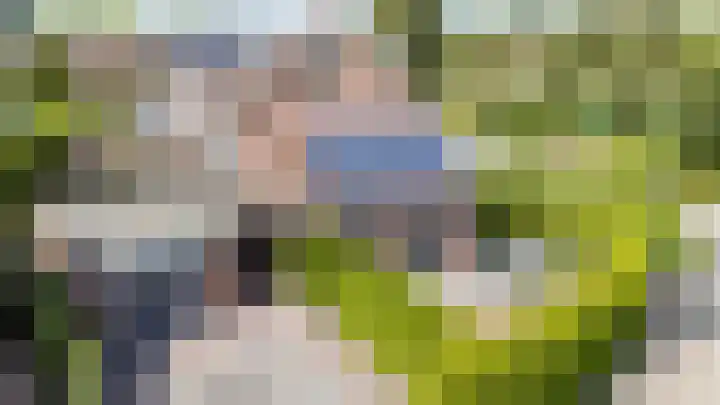 Vogelwikke 7 Roden thumbnail 9