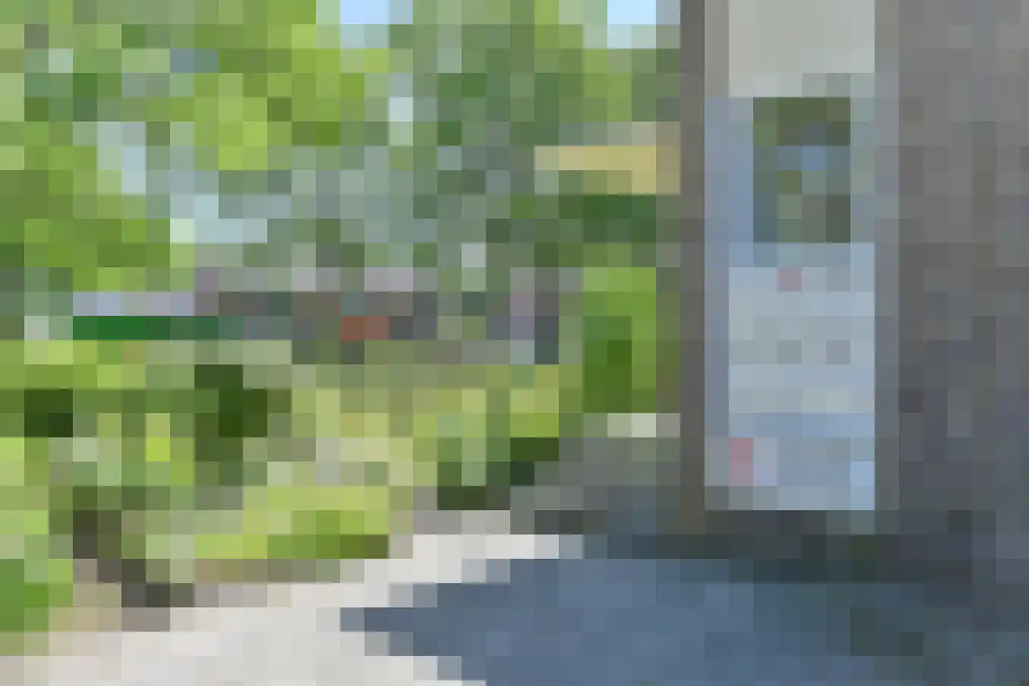 Vogelwikke 79 Emmen thumbnail 11