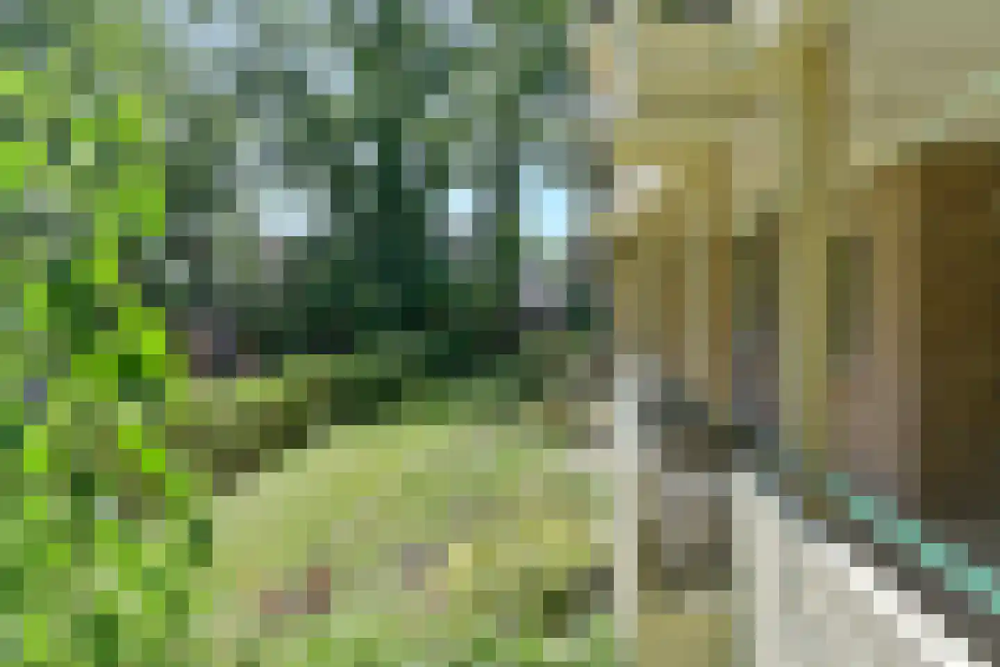 Vogelwikke 79 Emmen thumbnail 12