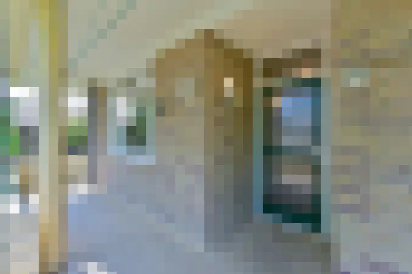 Vogelwikke 79 Emmen thumbnail 14
