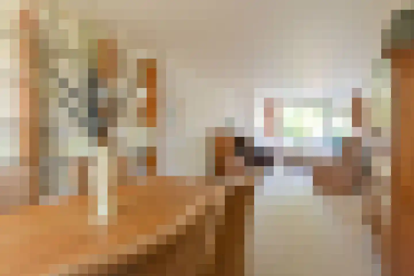 Vogelwikke 79 Emmen thumbnail 32