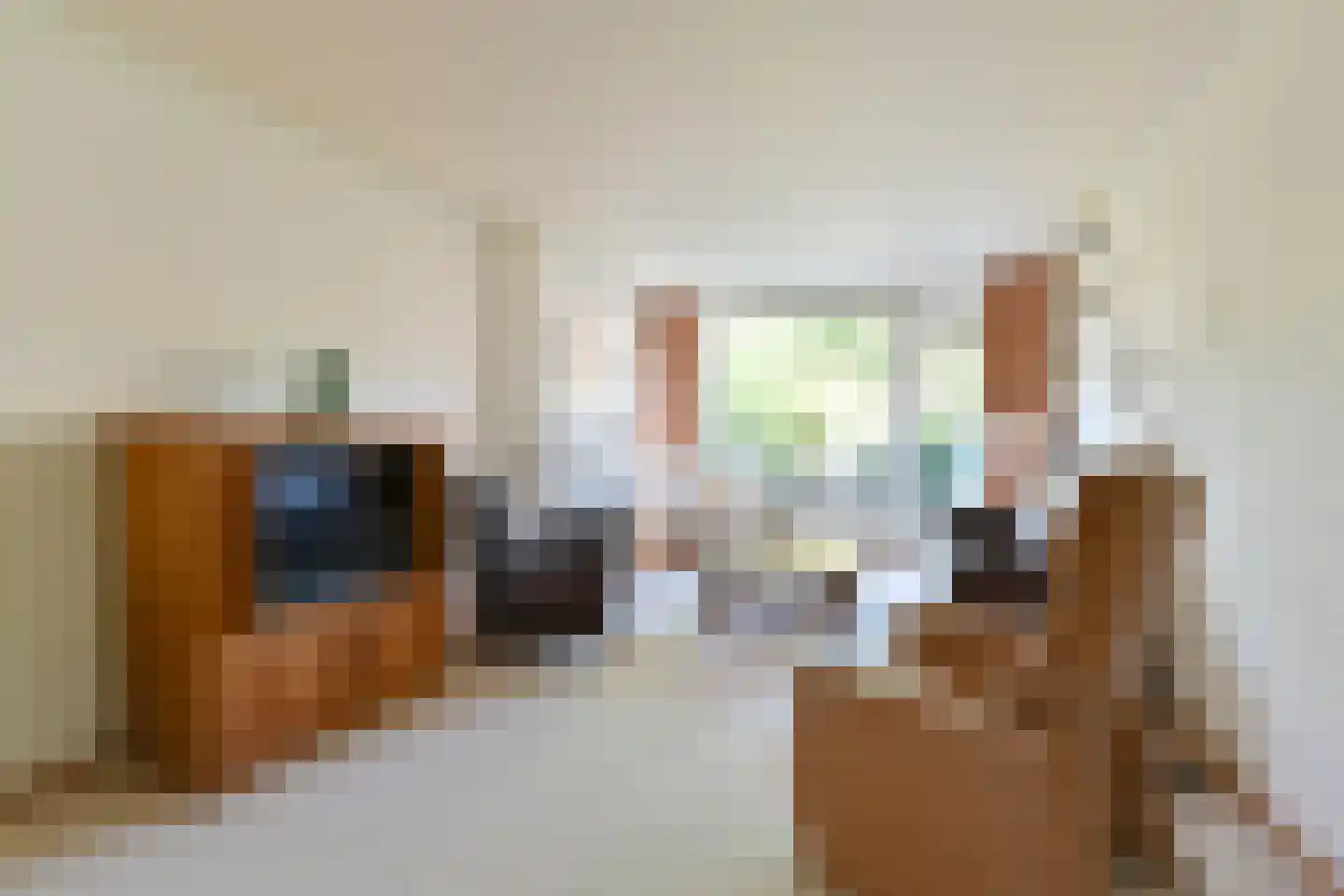 Vogelwikke 79 Emmen thumbnail 33