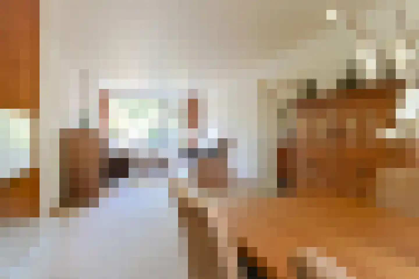 Vogelwikke 79 Emmen thumbnail 35