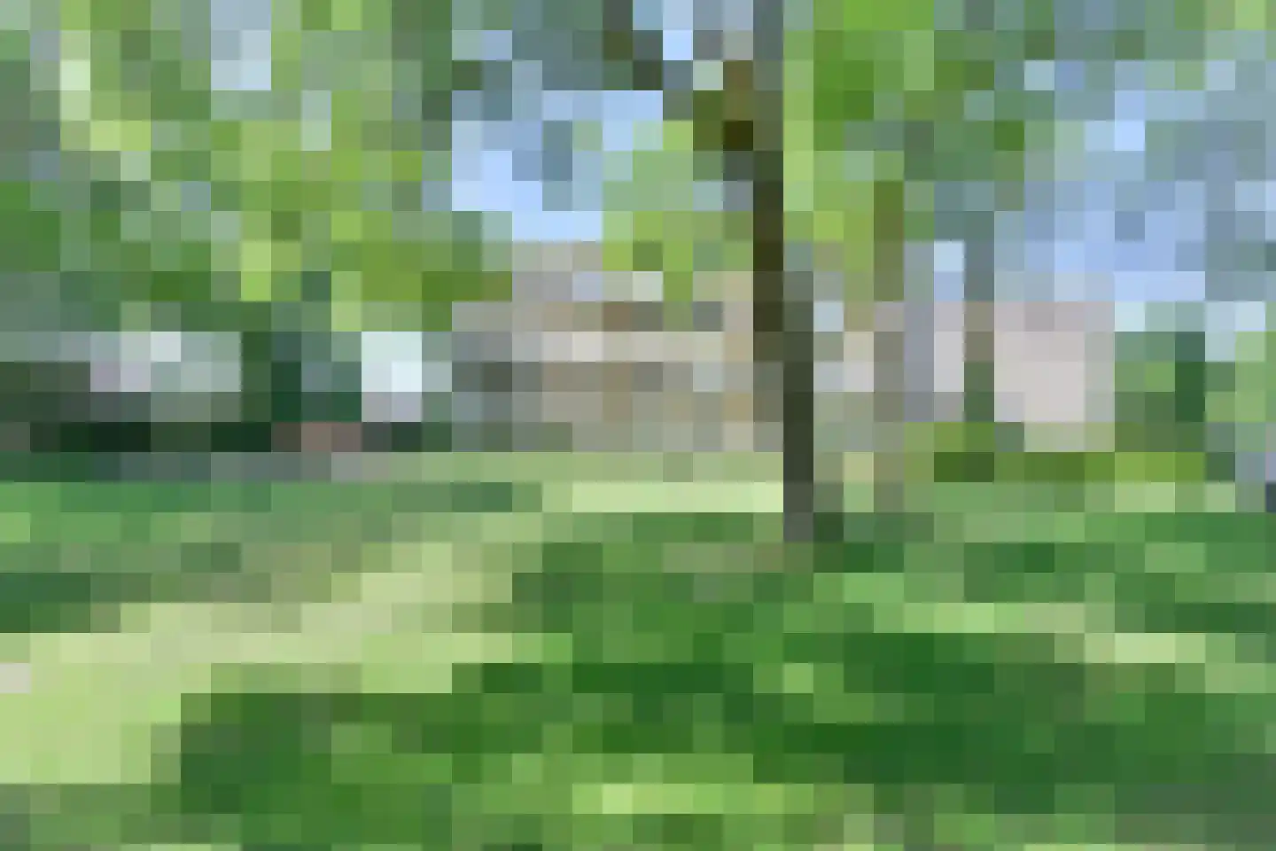 Vogelwikke 79 Emmen thumbnail 4