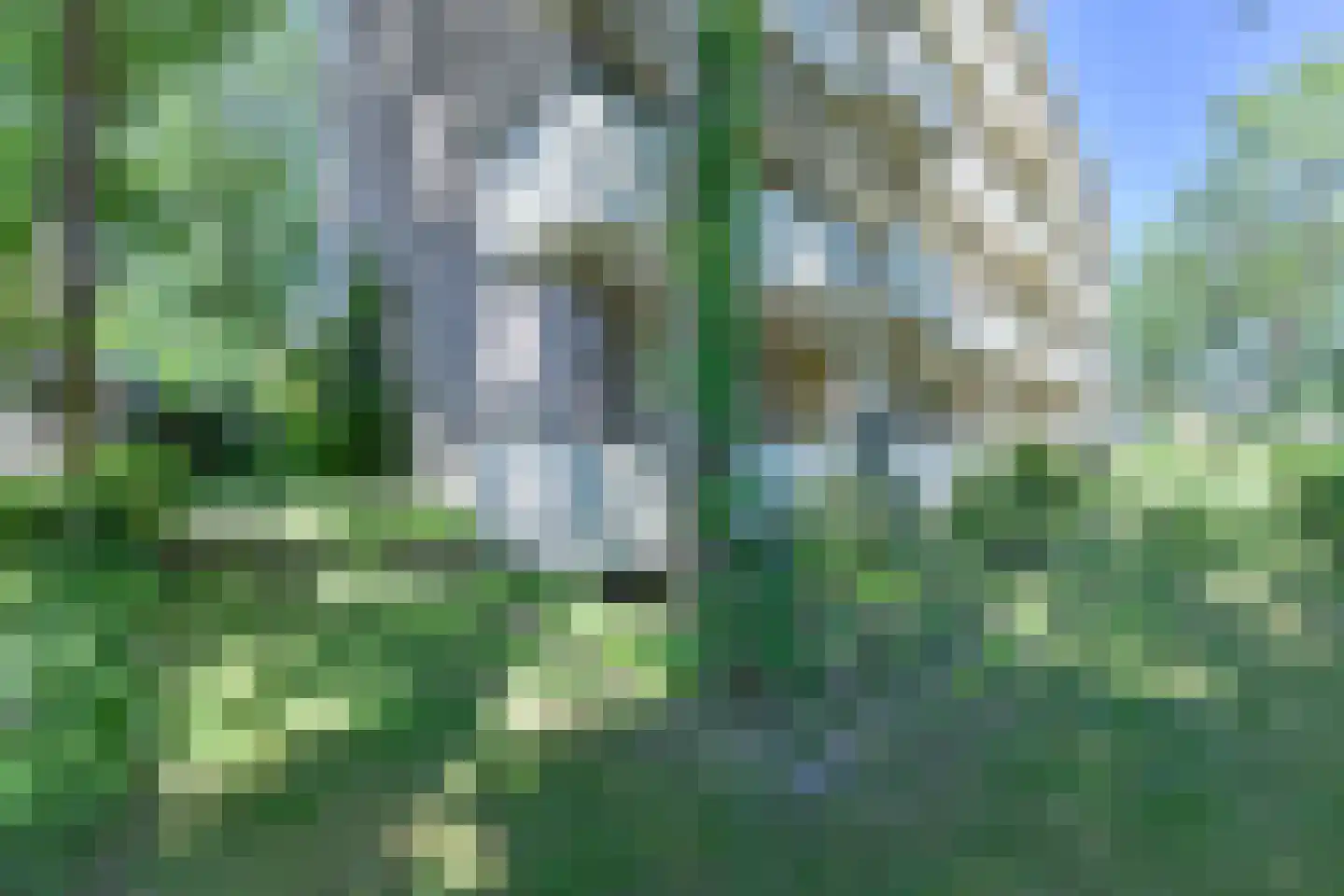 Vogelwikke 79 Emmen thumbnail 59