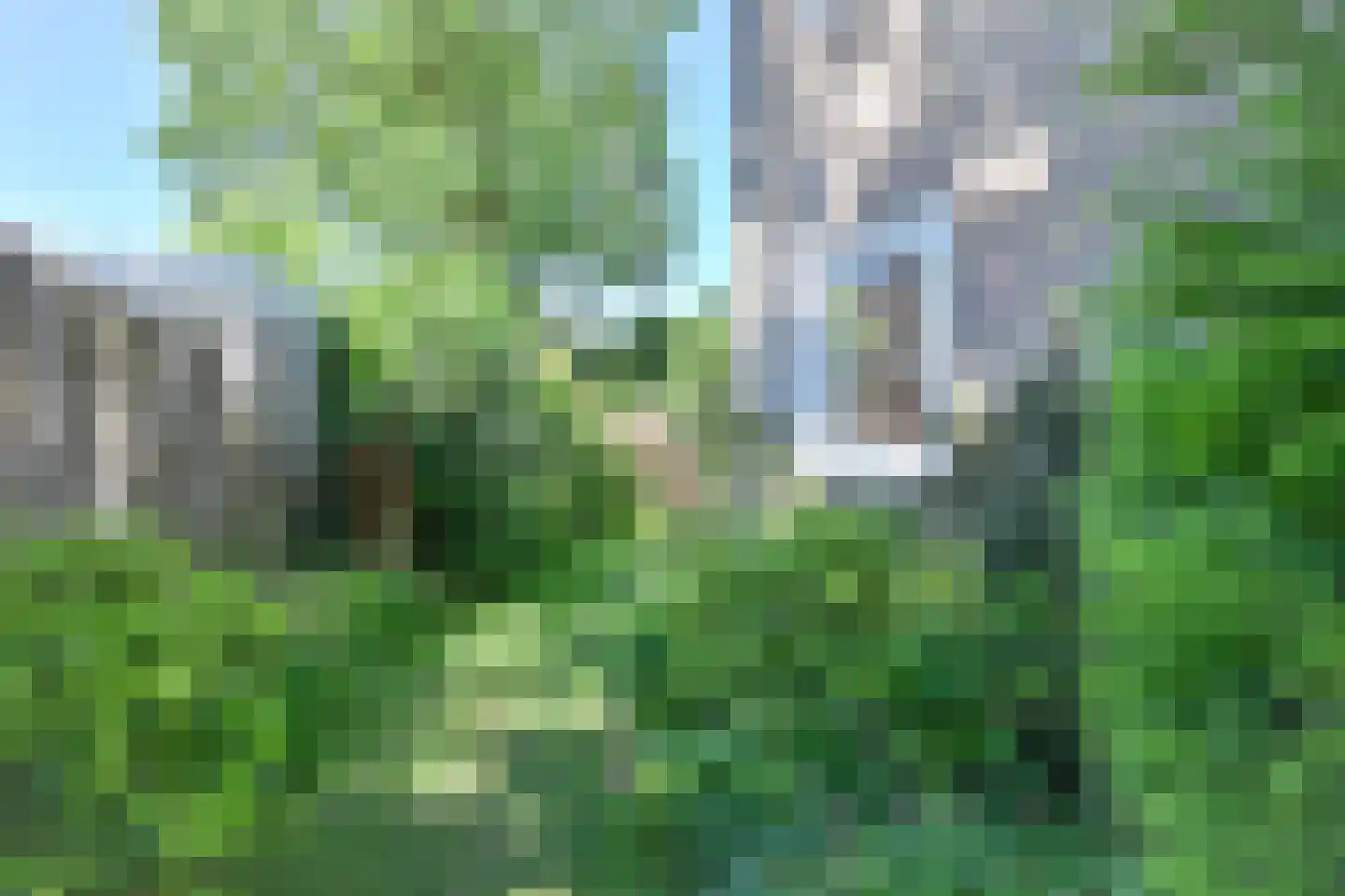 Vogelwikke 79 Emmen thumbnail 60