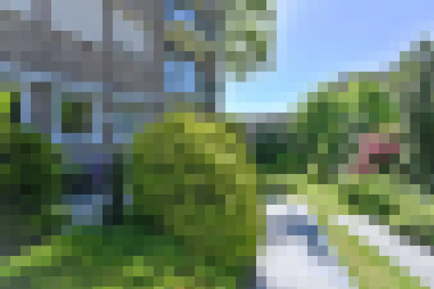 Vogelwikke 79 Emmen thumbnail 61