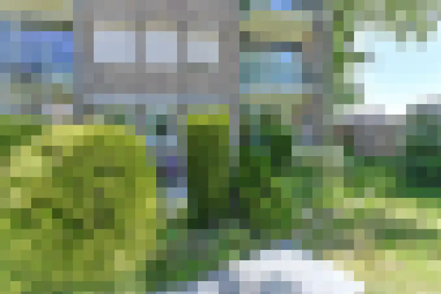 Vogelwikke 79 Emmen thumbnail 62