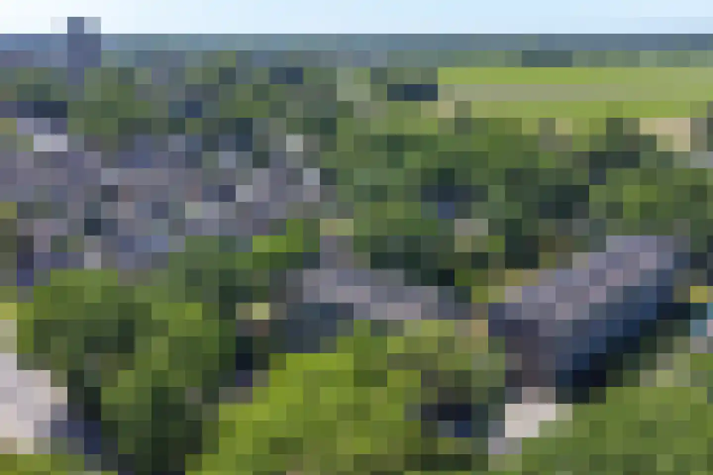 Vogelwikke 79 Emmen thumbnail 66