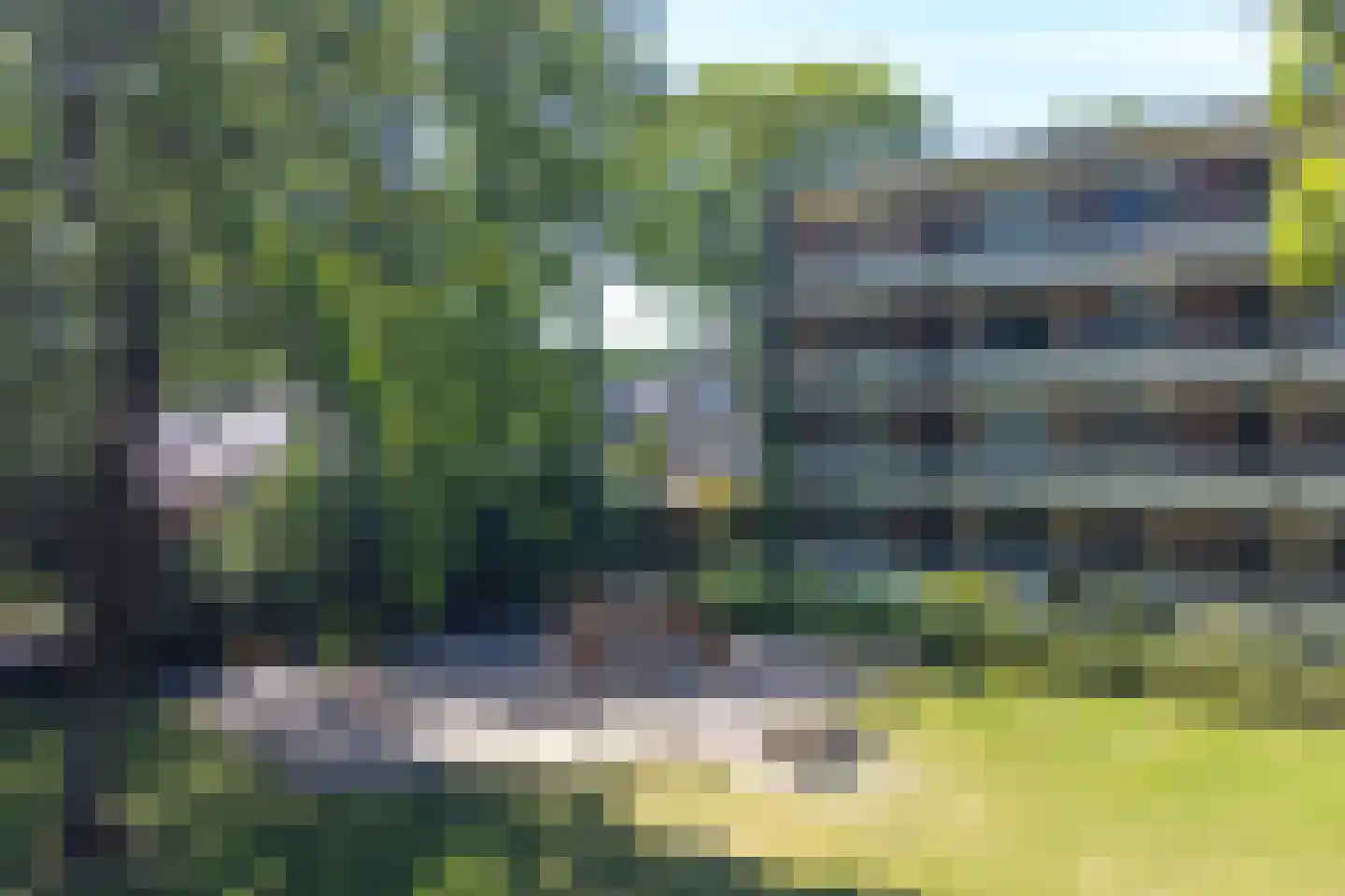 Vogelwikke 79 Emmen thumbnail 67