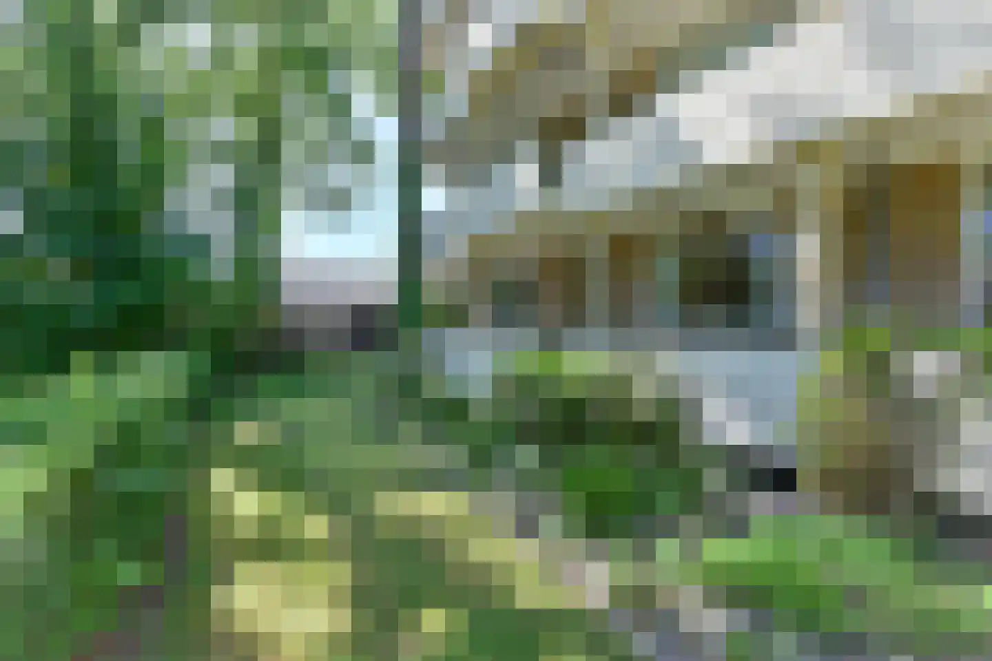 Vogelwikke 79 Emmen thumbnail 7