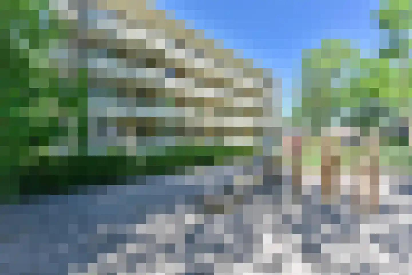 Vogelwikke 79 Emmen thumbnail 8