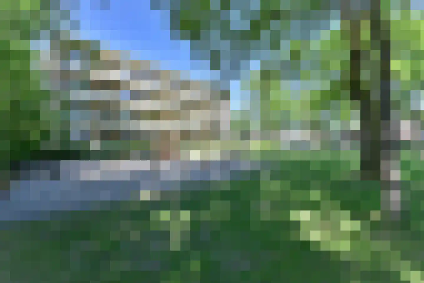 Vogelwikke 79 Emmen thumbnail 9