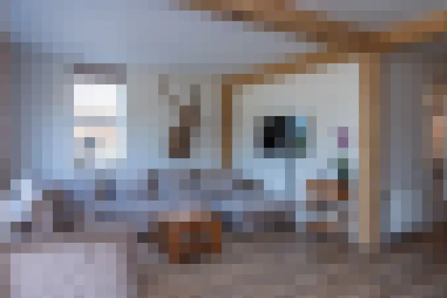 Vogelwikke 8 Elburg thumbnail 14
