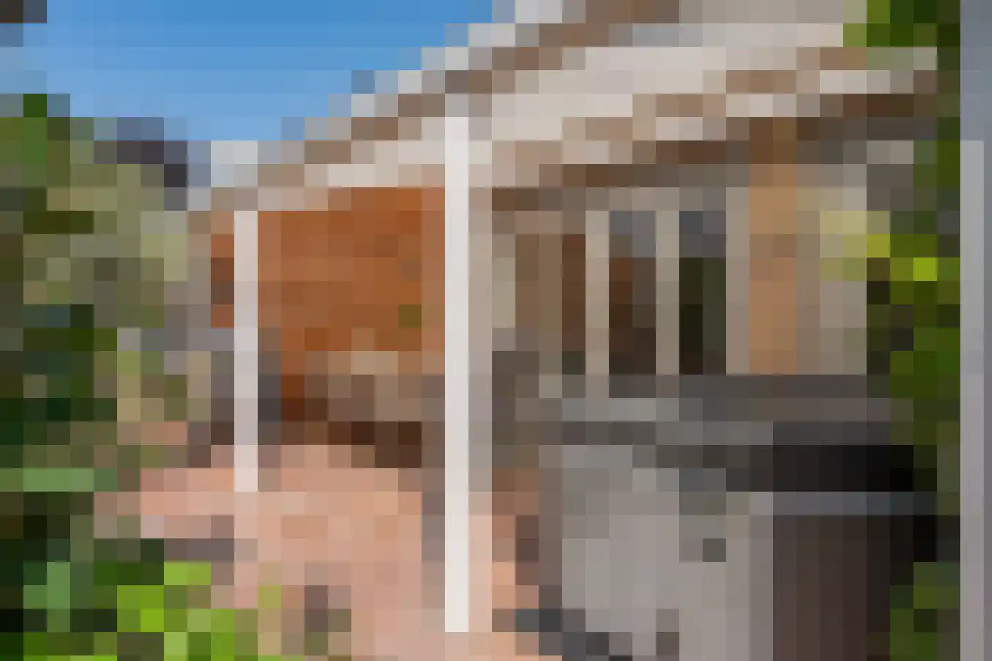 Vogelwikke 8 Elburg thumbnail 42
