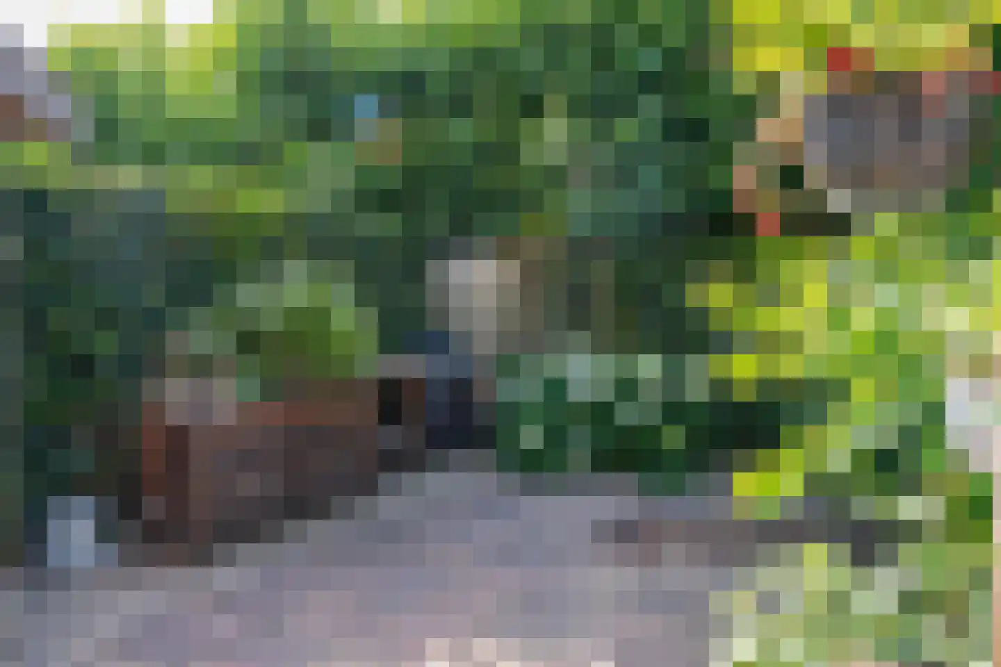 Vogelwikke 8 Elburg thumbnail 46