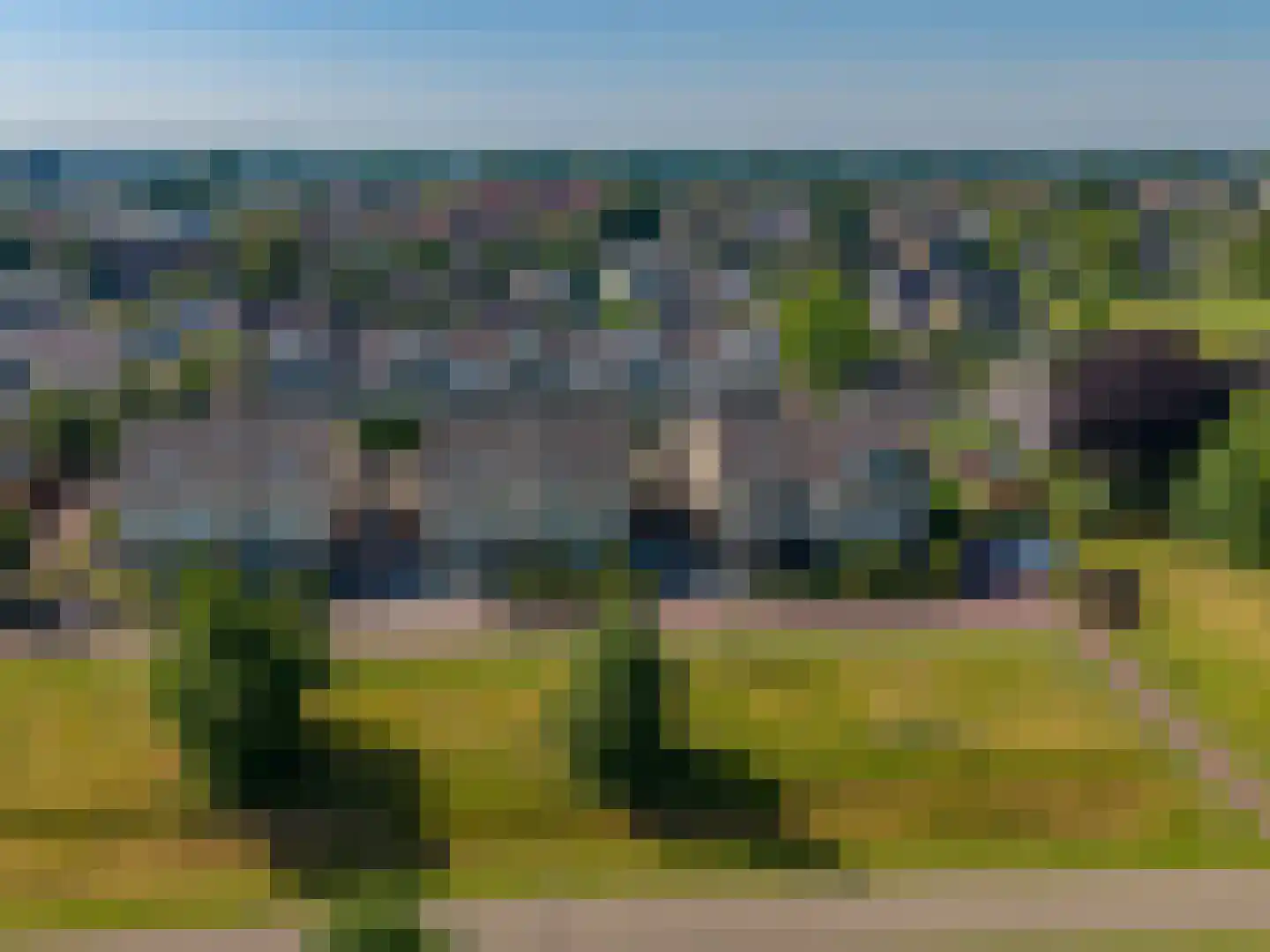 Vogelwikke 8 Elburg thumbnail 49