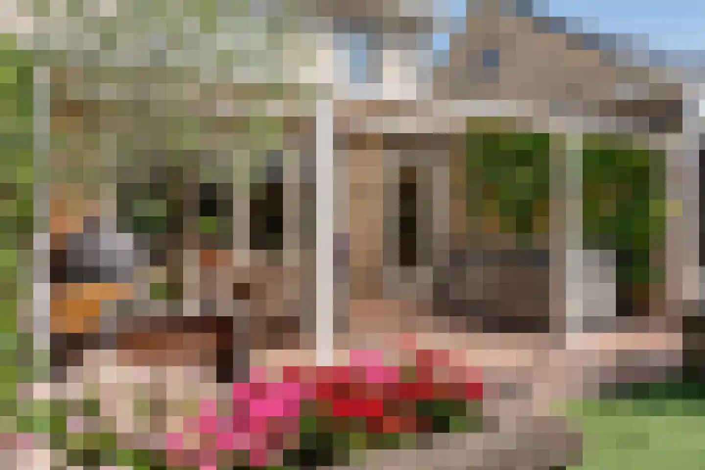 Vogelwikke 8 Elburg thumbnail 5