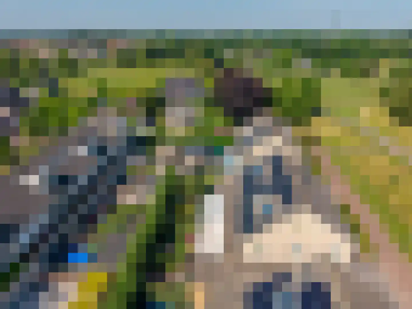 Vogelwikke 8 Elburg thumbnail 50