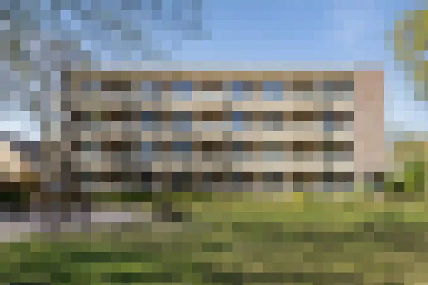 Vogelwikke 83 Emmen