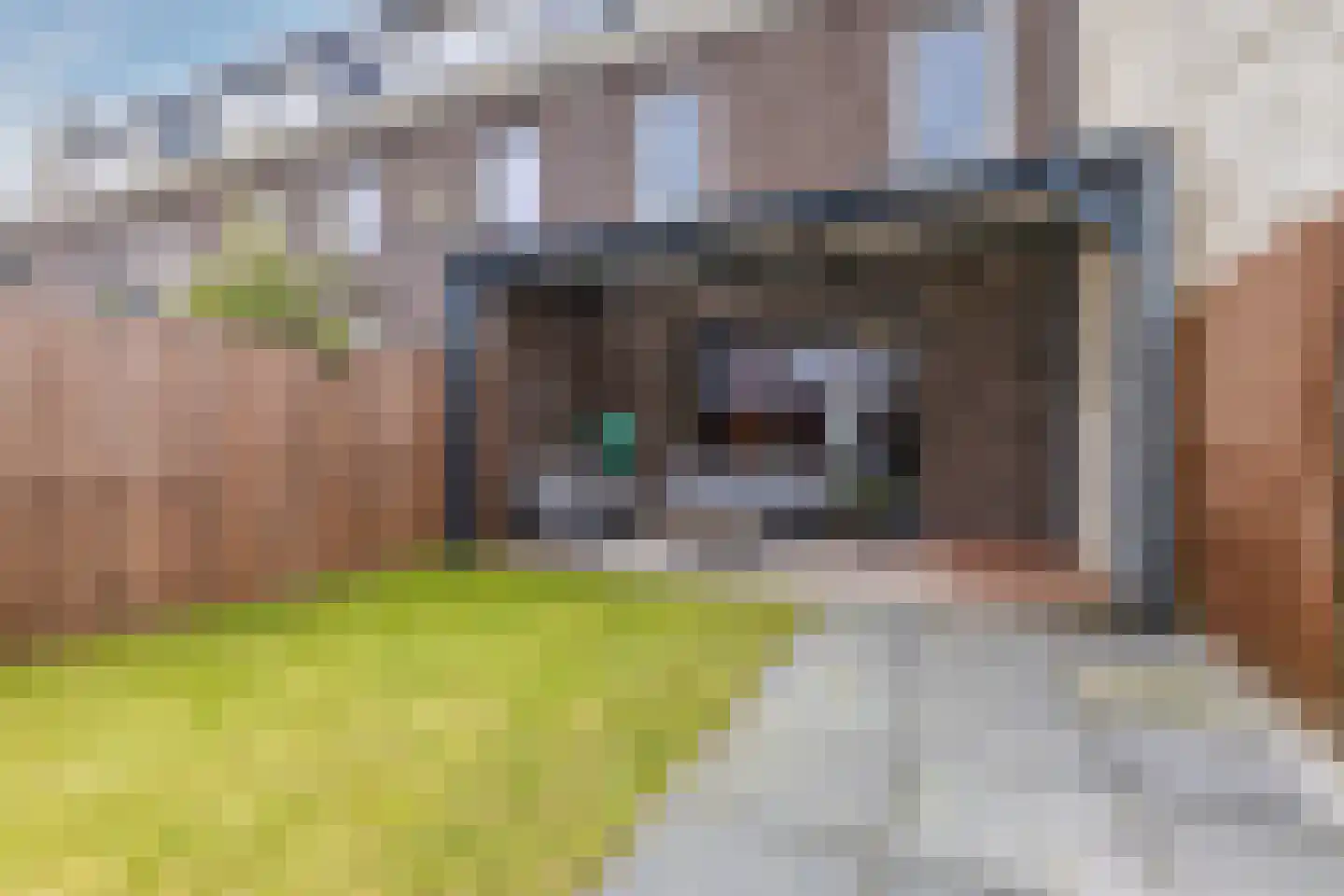 Vogelwikke 9 Bodegraven thumbnail 22