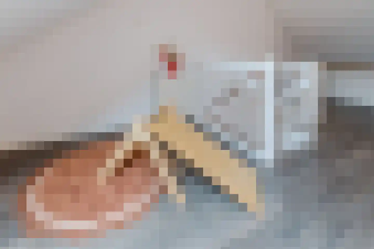 Vogelwikke 9 Bodegraven thumbnail 39