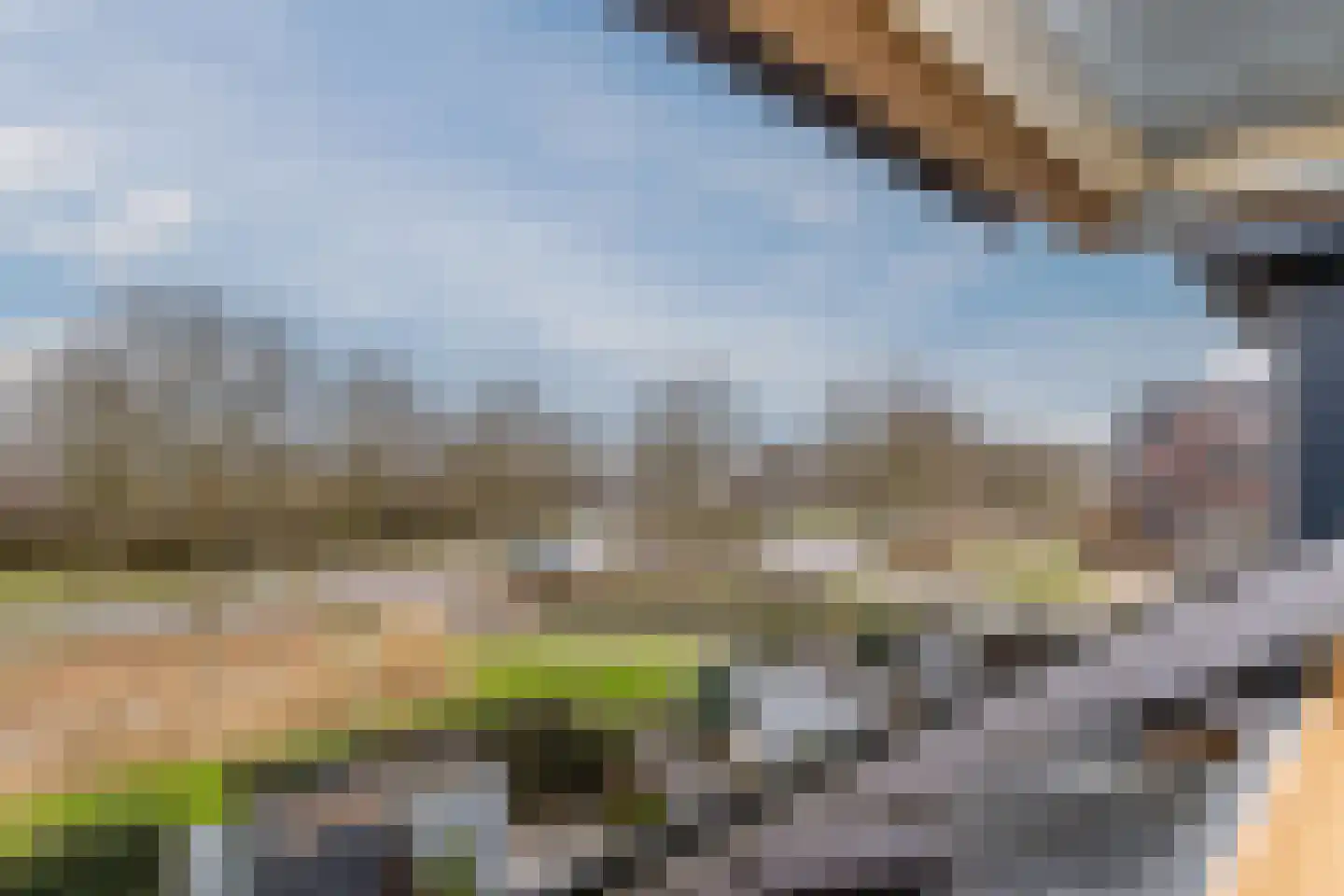 Vogelwikke 9 Bodegraven thumbnail 40
