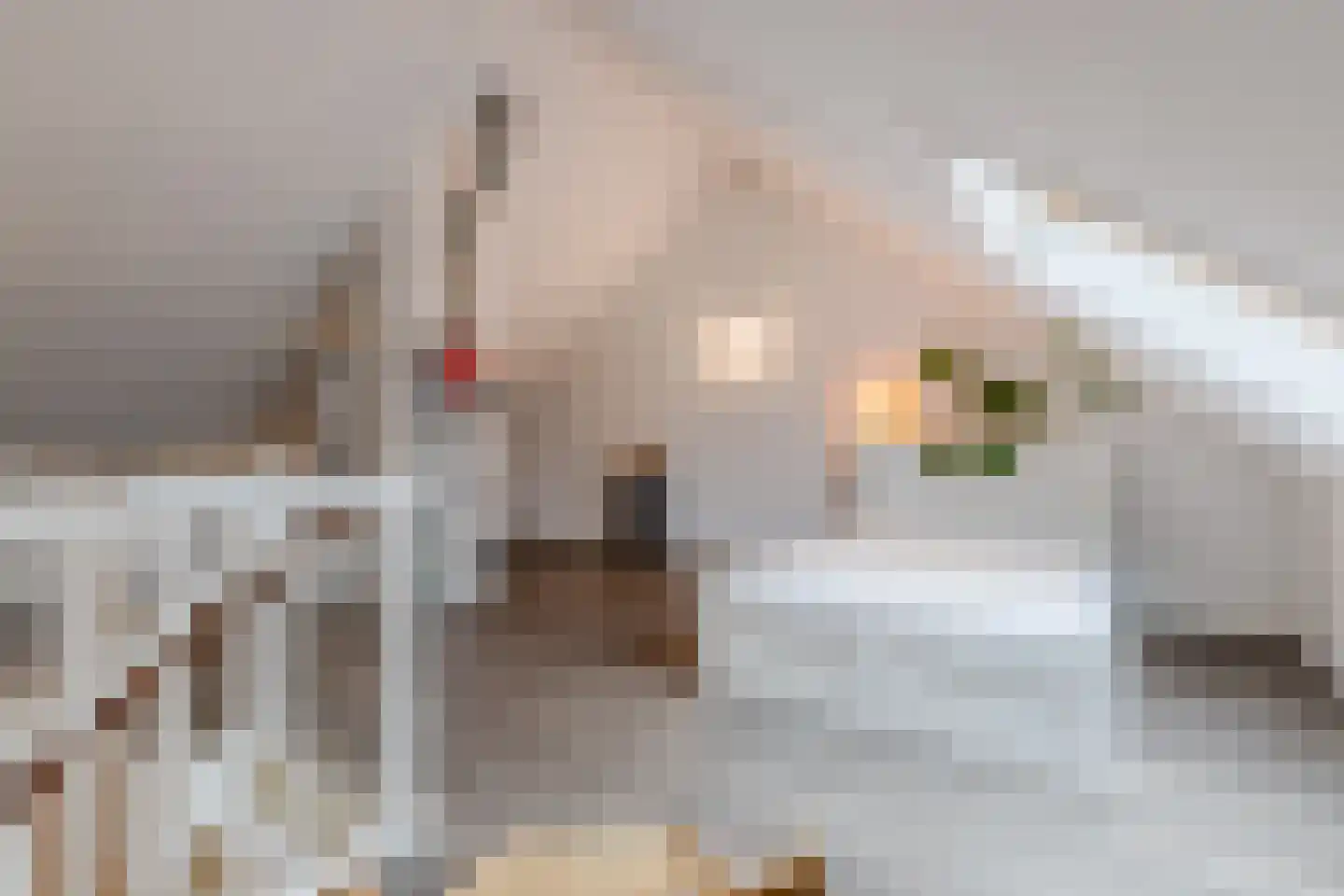 Vogelwikke 9 Bodegraven thumbnail 41