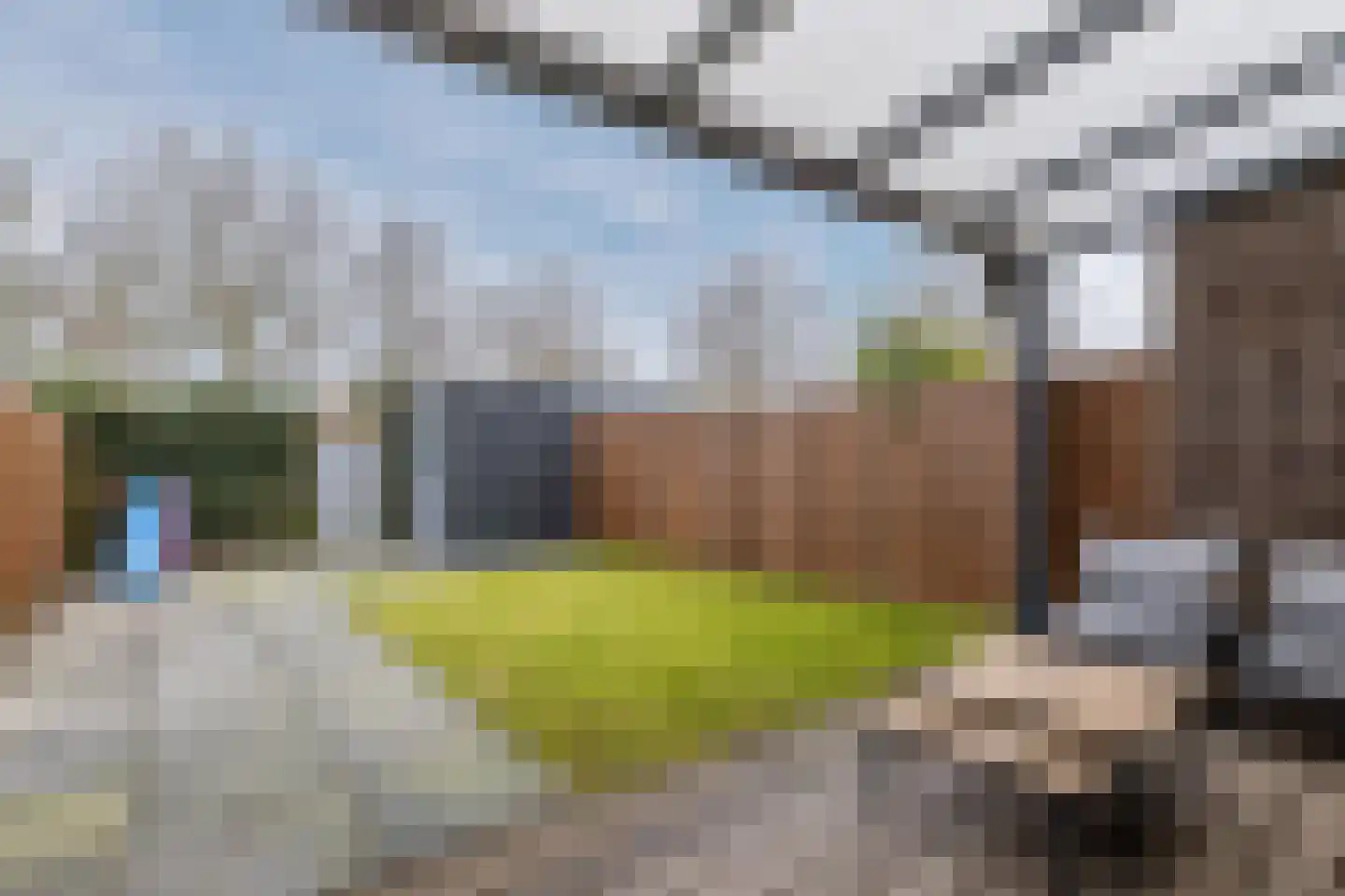 Vogelwikke 9 Bodegraven thumbnail 43