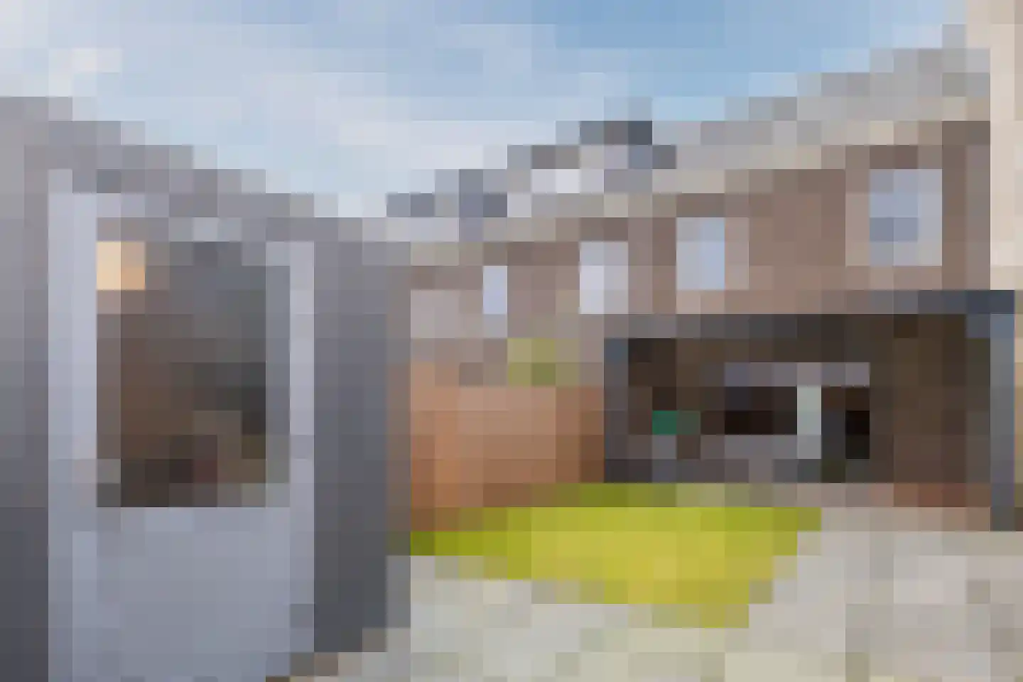 Vogelwikke 9 Bodegraven thumbnail 46
