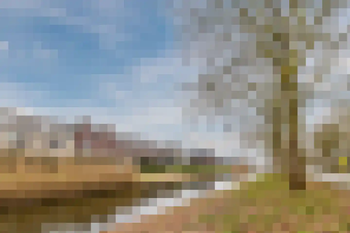 Vogelwikke 9 Bodegraven thumbnail 47