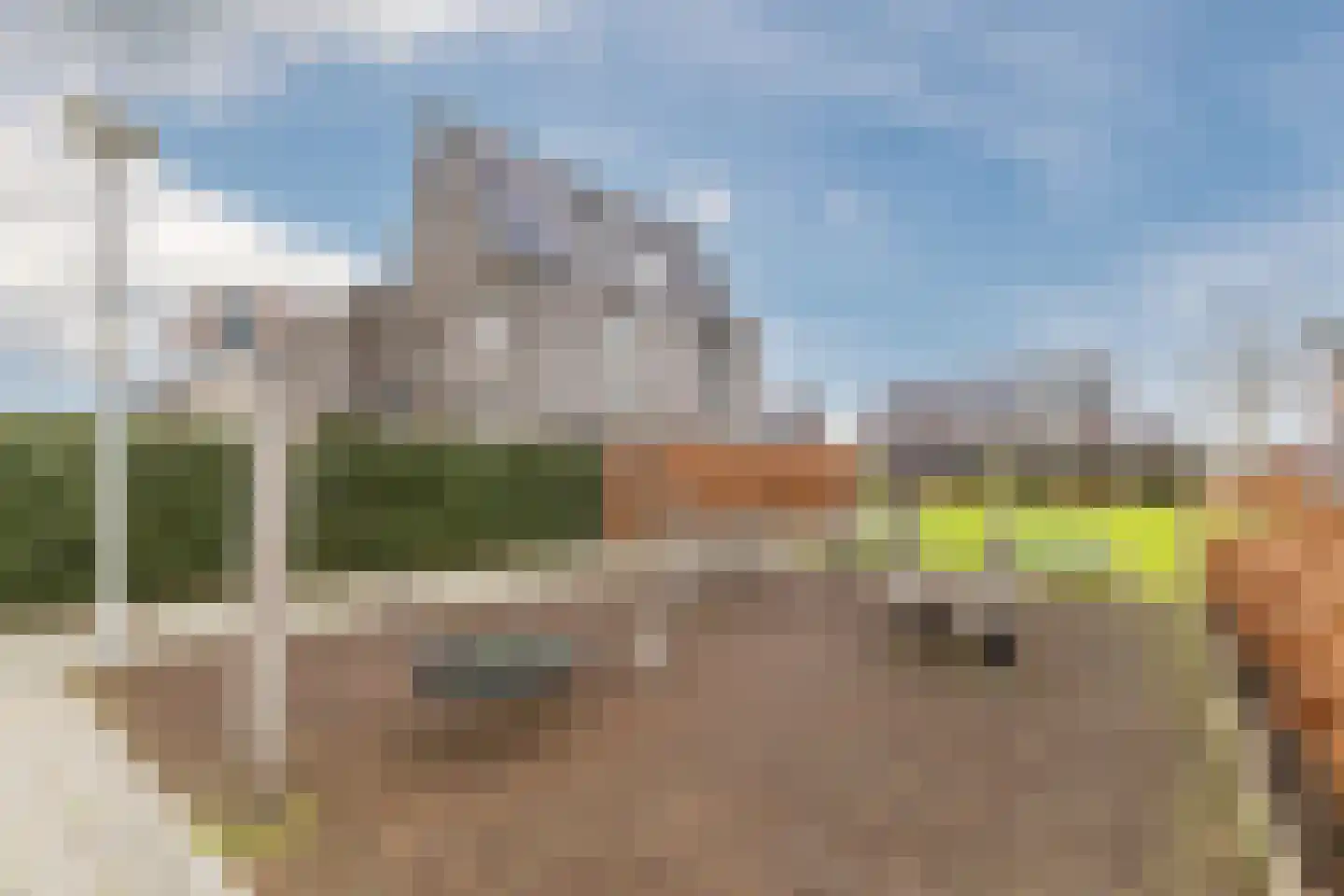 Vogelwikke 9 Bodegraven thumbnail 48