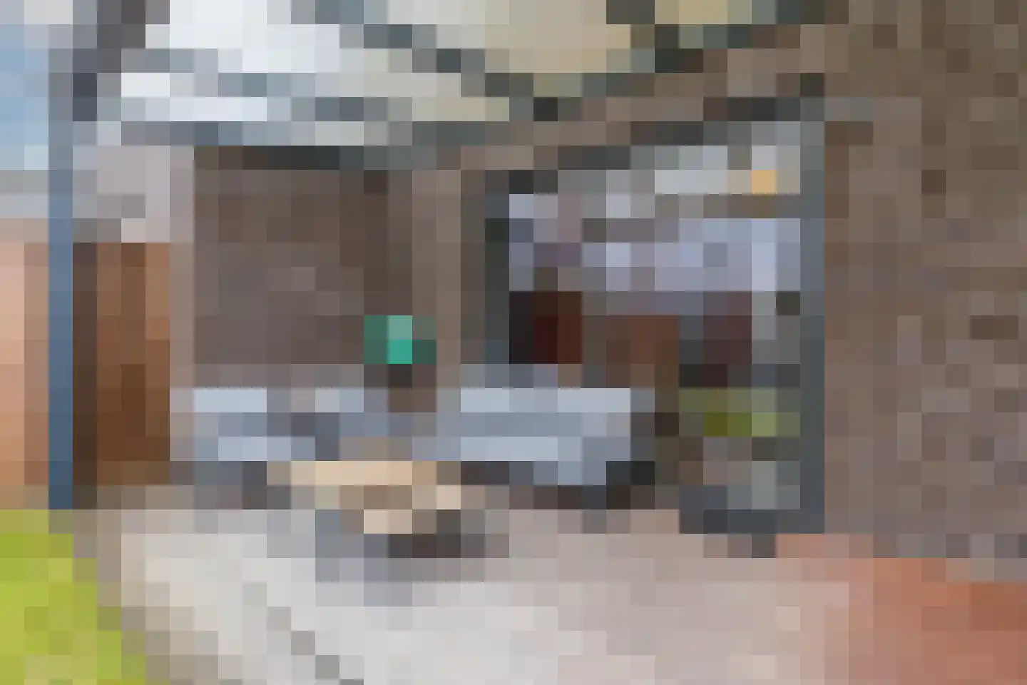 Vogelwikke 9 Bodegraven thumbnail 5