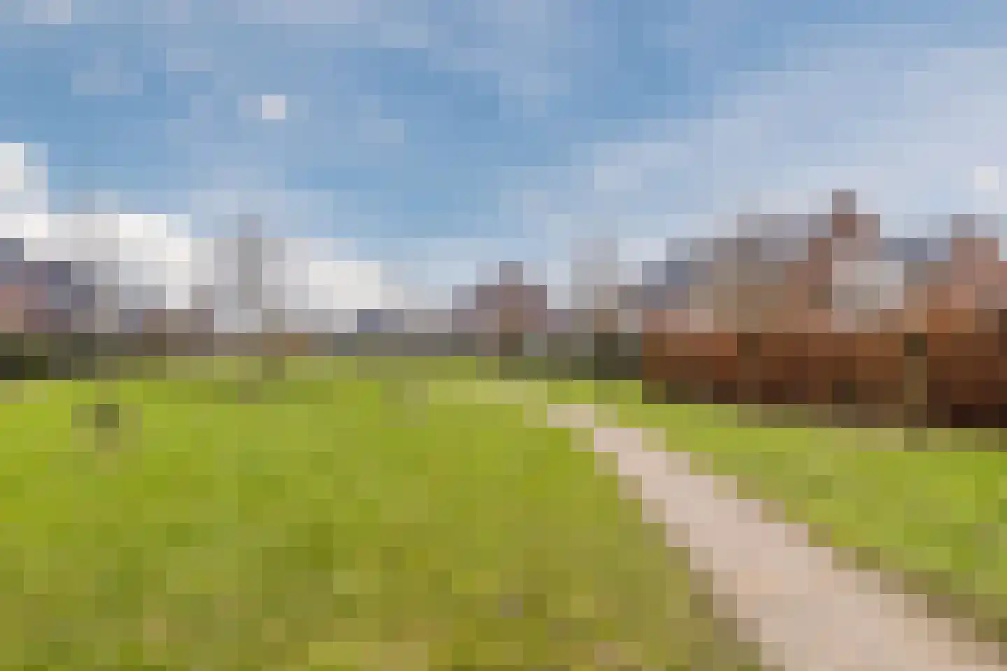 Vogelwikke 9 Bodegraven thumbnail 50