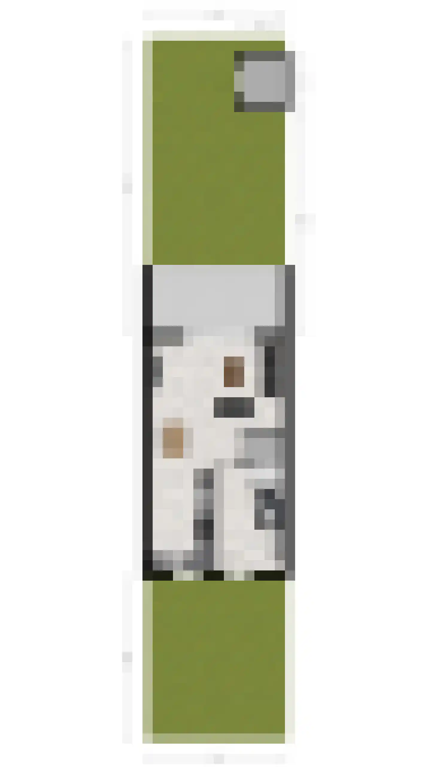 Vogelwikke 9 Bodegraven thumbnail 55