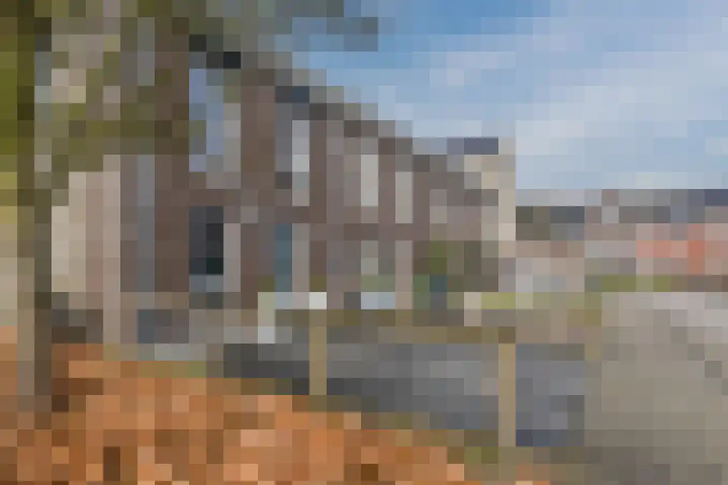 Vogelwikke 9 Bodegraven thumbnail 6