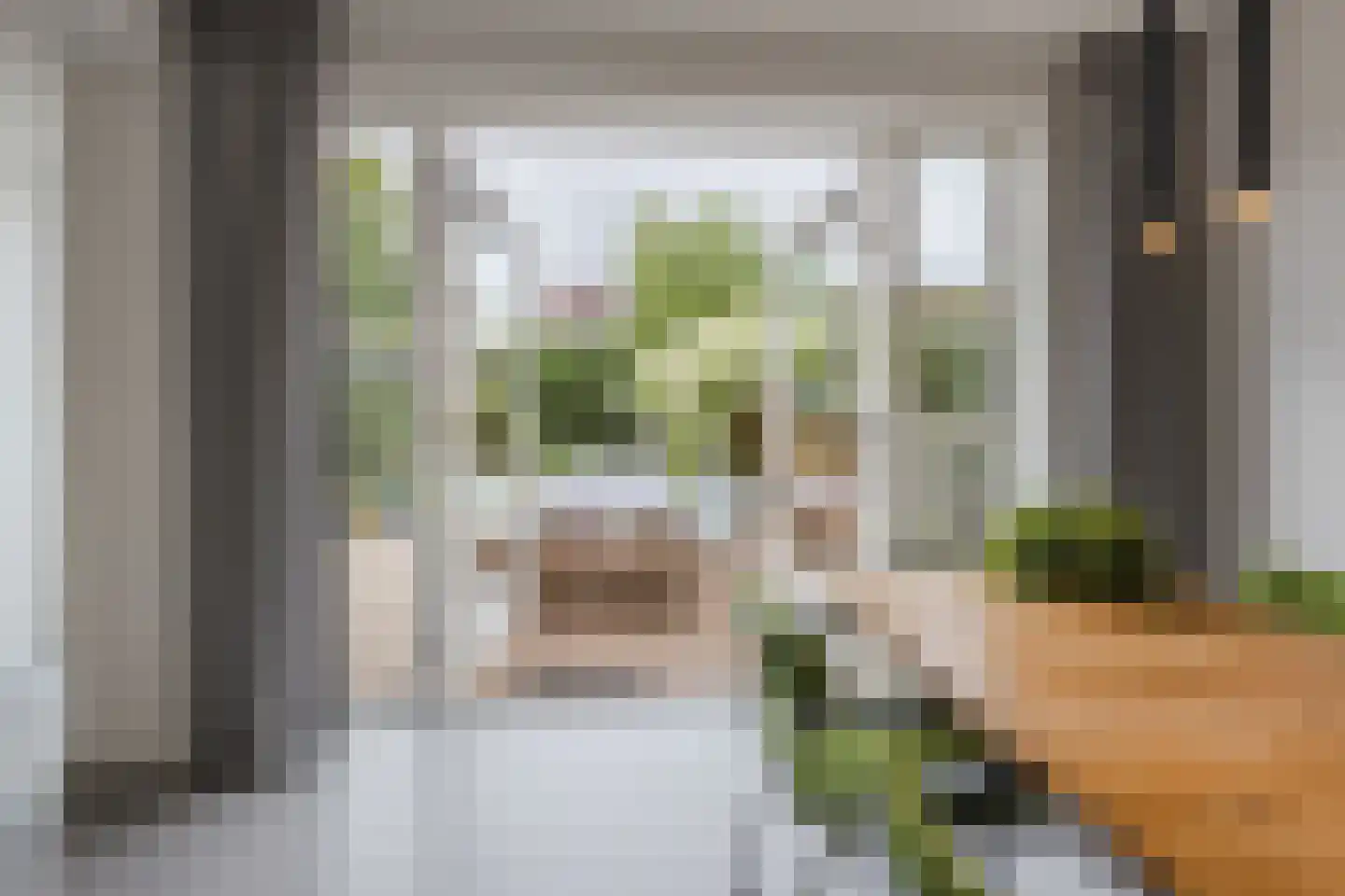 Vogelwikke 9 Meppel thumbnail 12