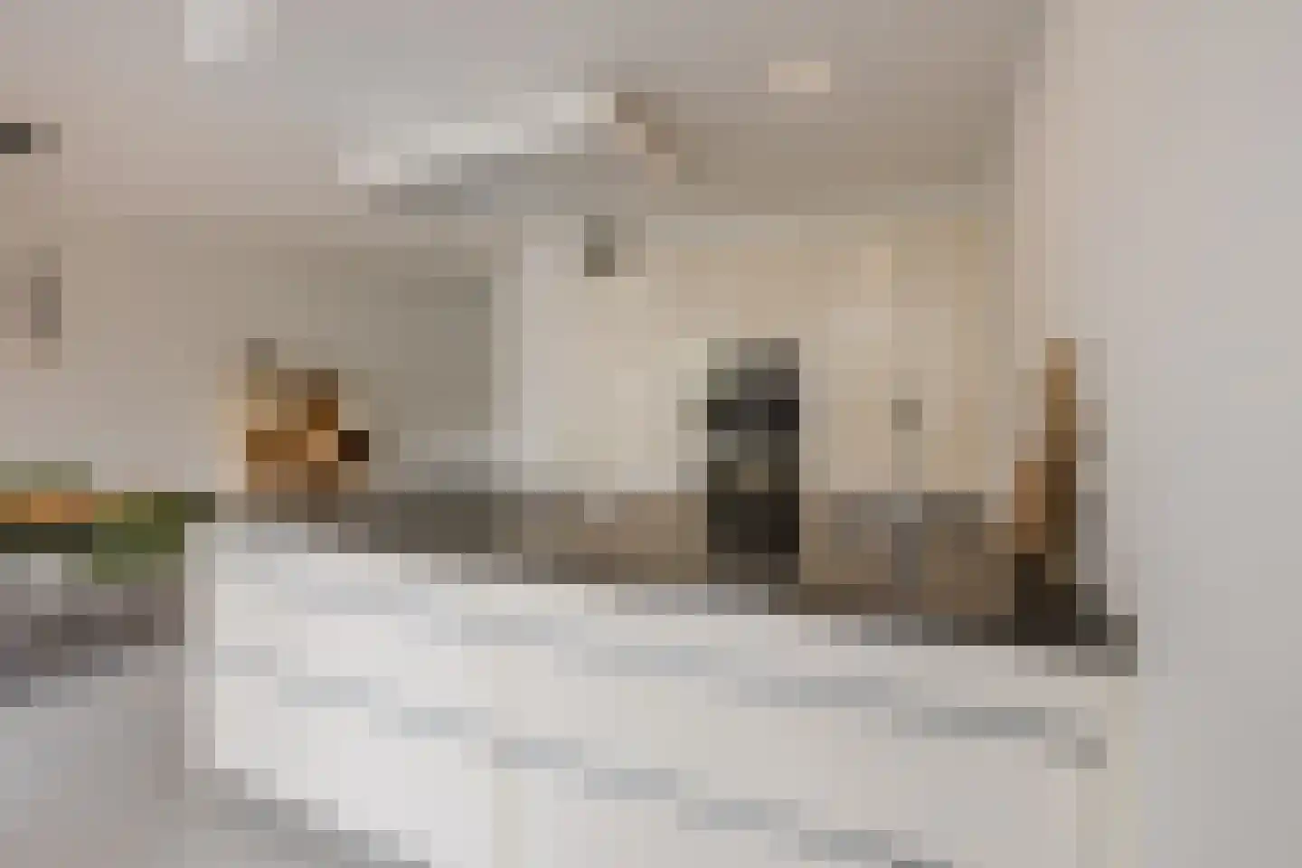 Vogelwikke 9 Meppel thumbnail 14