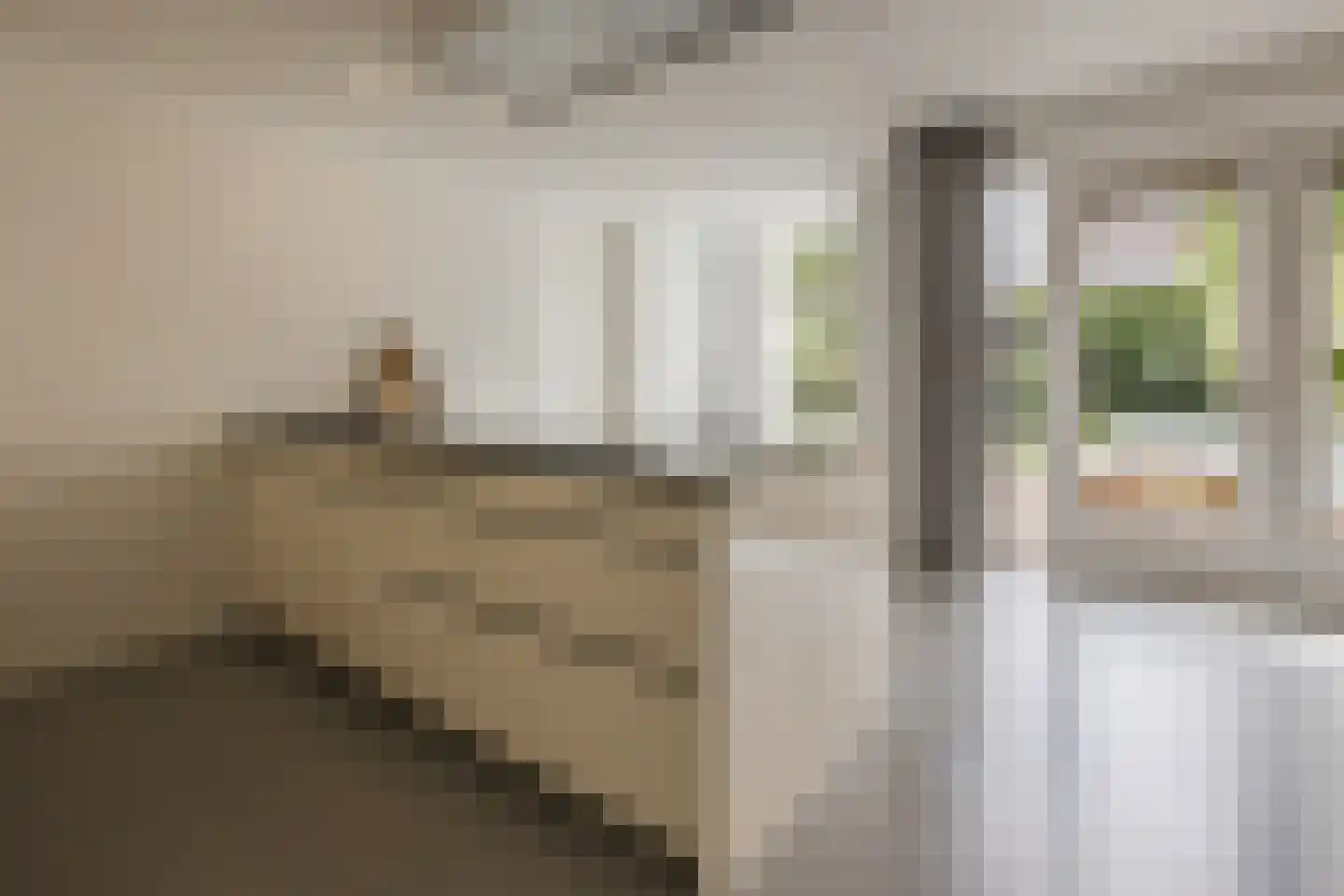 Vogelwikke 9 Meppel thumbnail 15