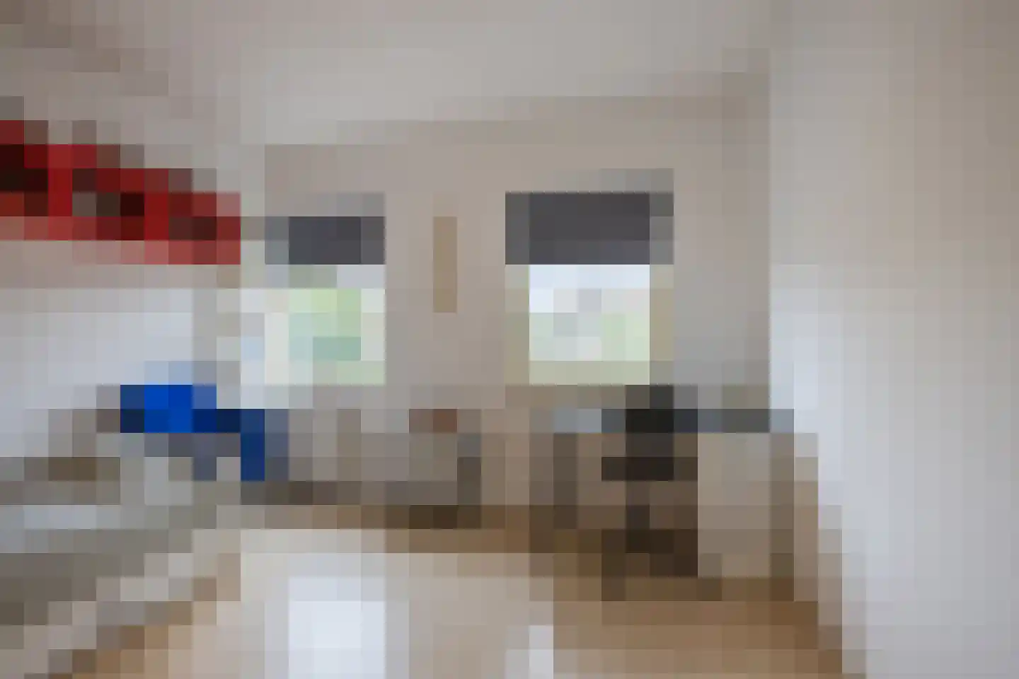 Vogelwikke 9 Meppel thumbnail 20