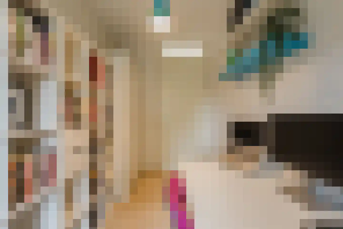 Vogelwikke 9 Meppel thumbnail 24