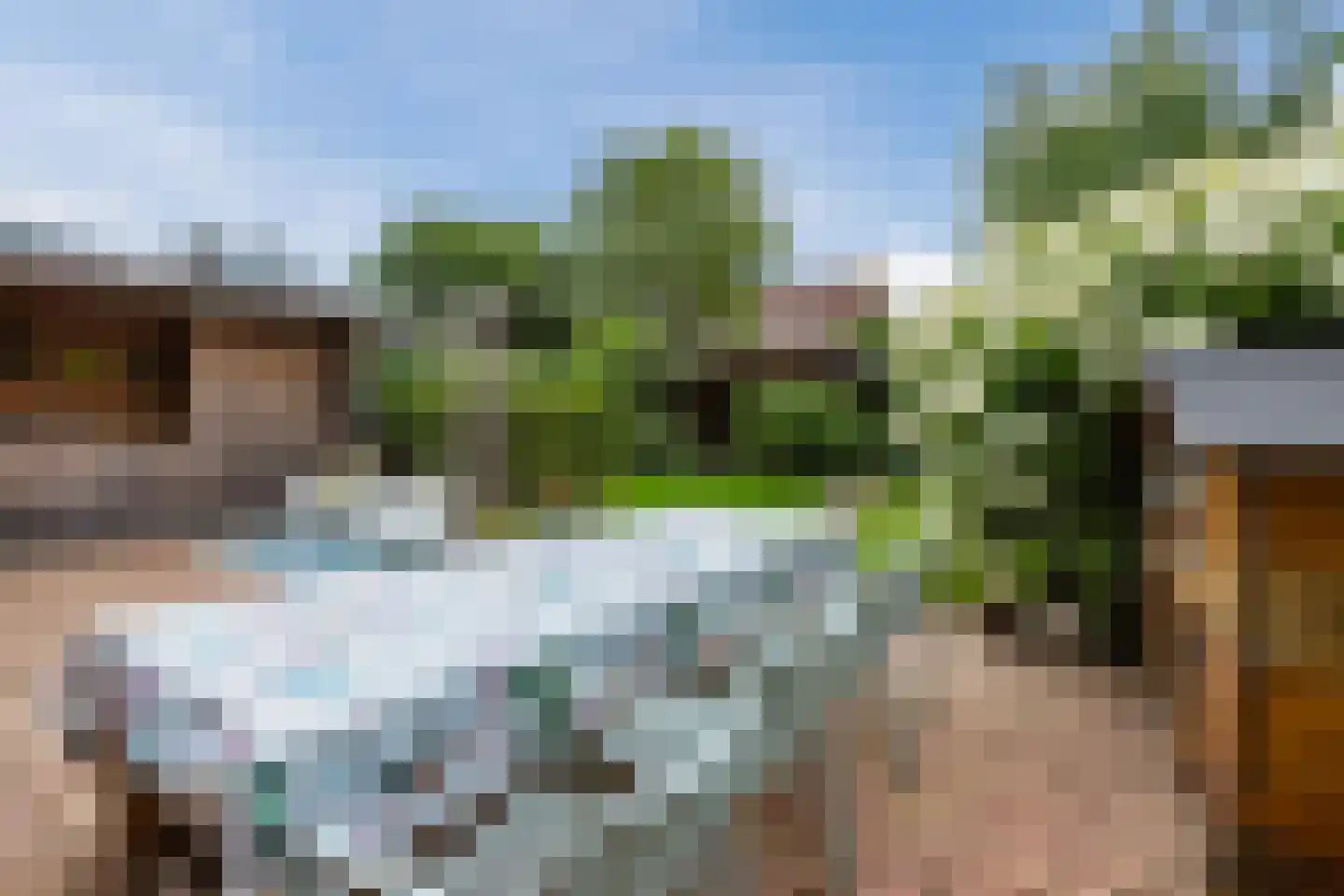 Vogelwikke 9 Meppel thumbnail 38