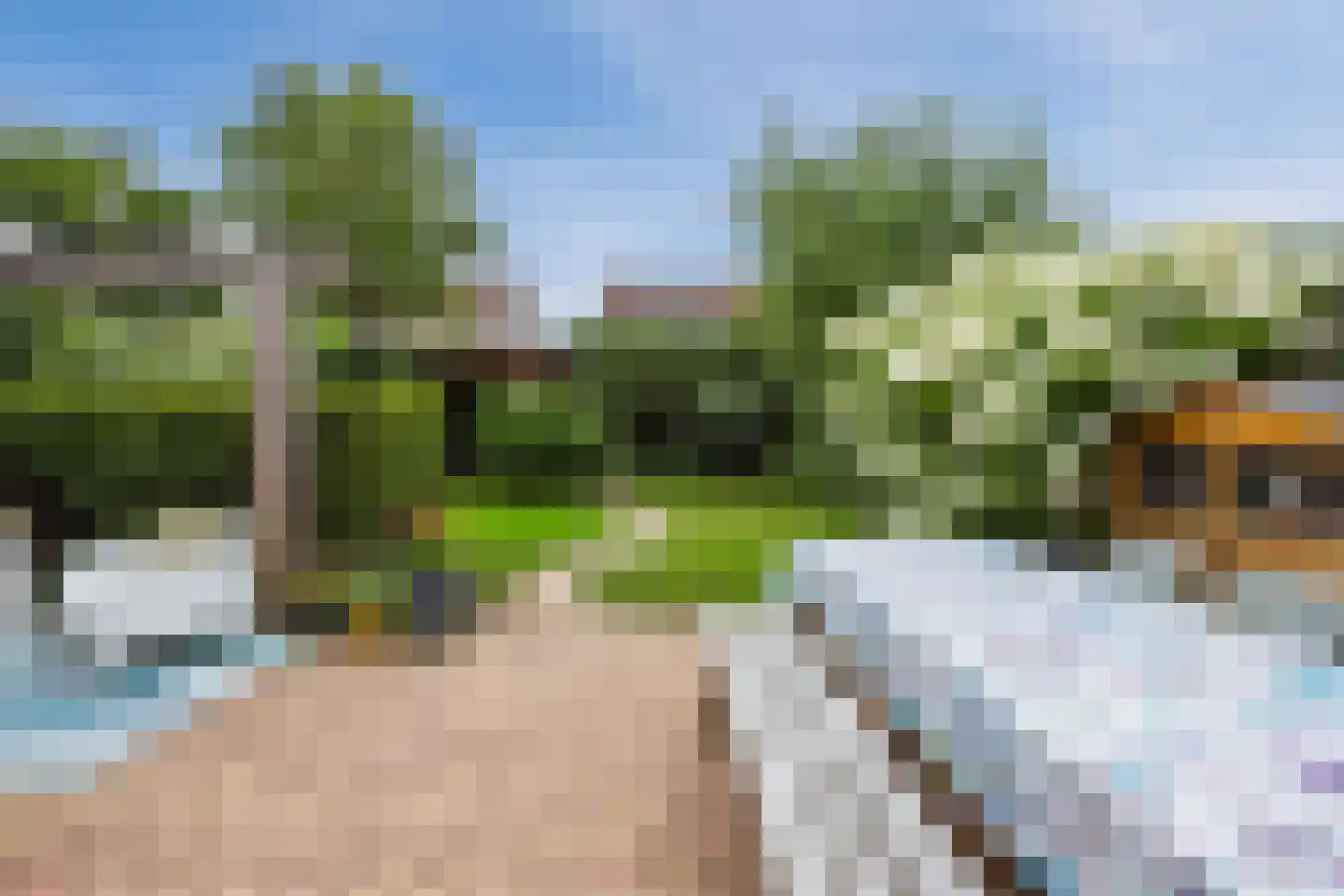 Vogelwikke 9 Meppel thumbnail 39