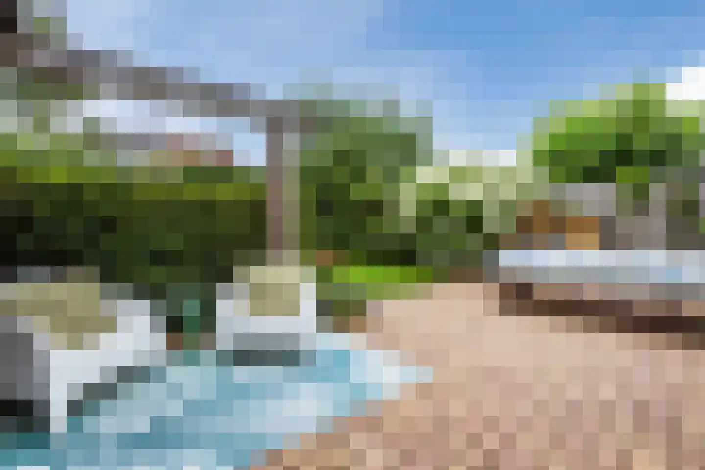 Vogelwikke 9 Meppel thumbnail 4
