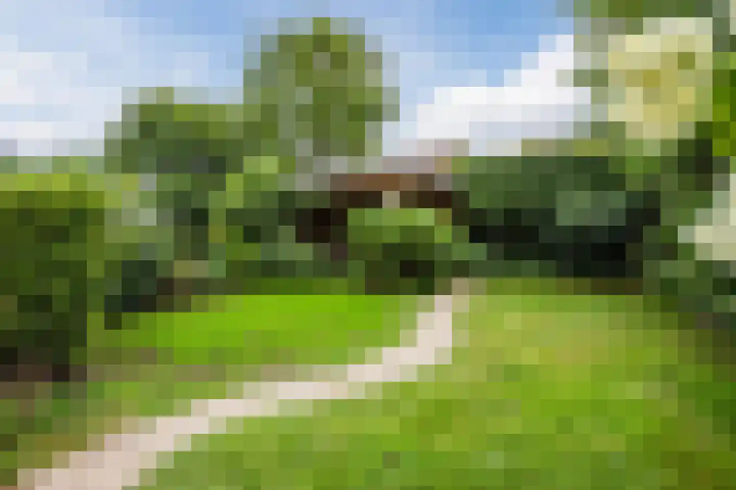 Vogelwikke 9 Meppel thumbnail 40