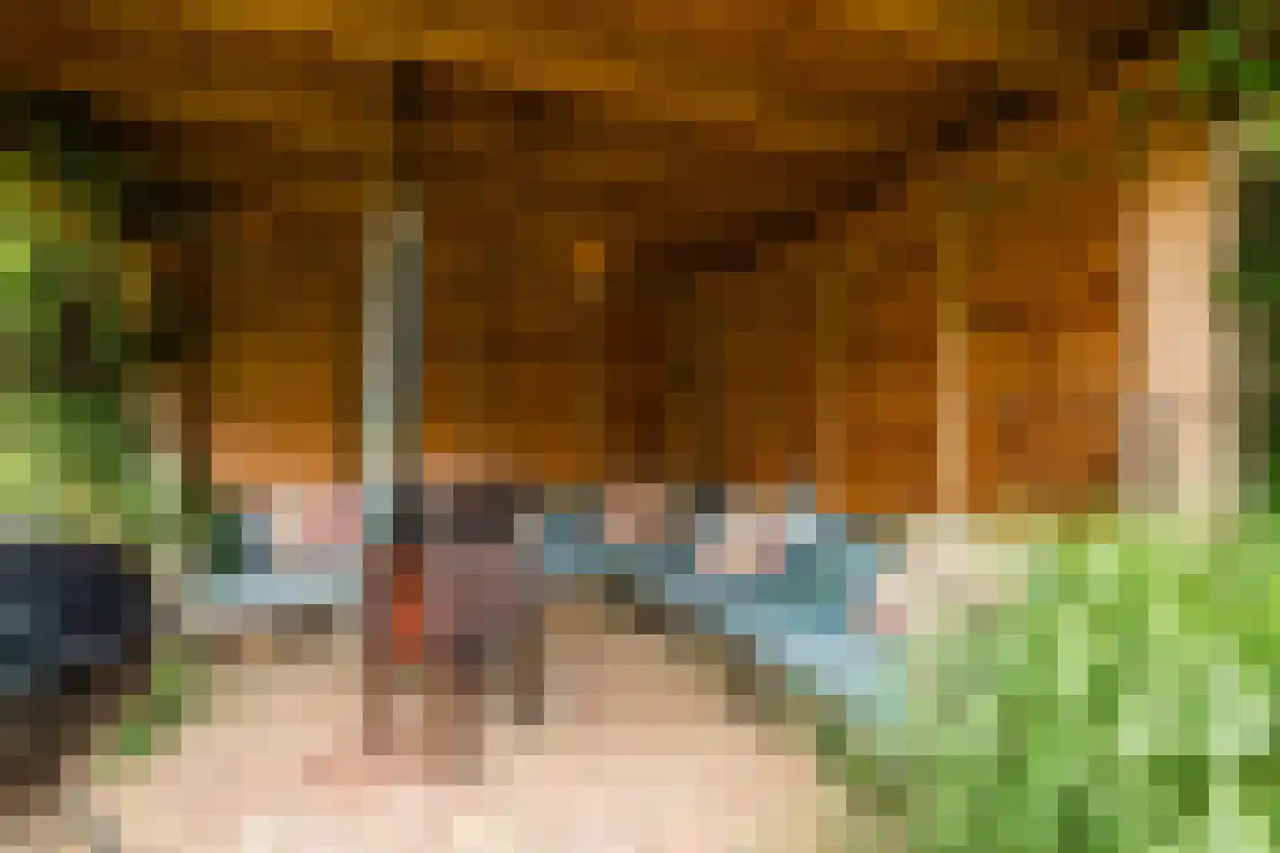 Vogelwikke 9 Meppel thumbnail 41