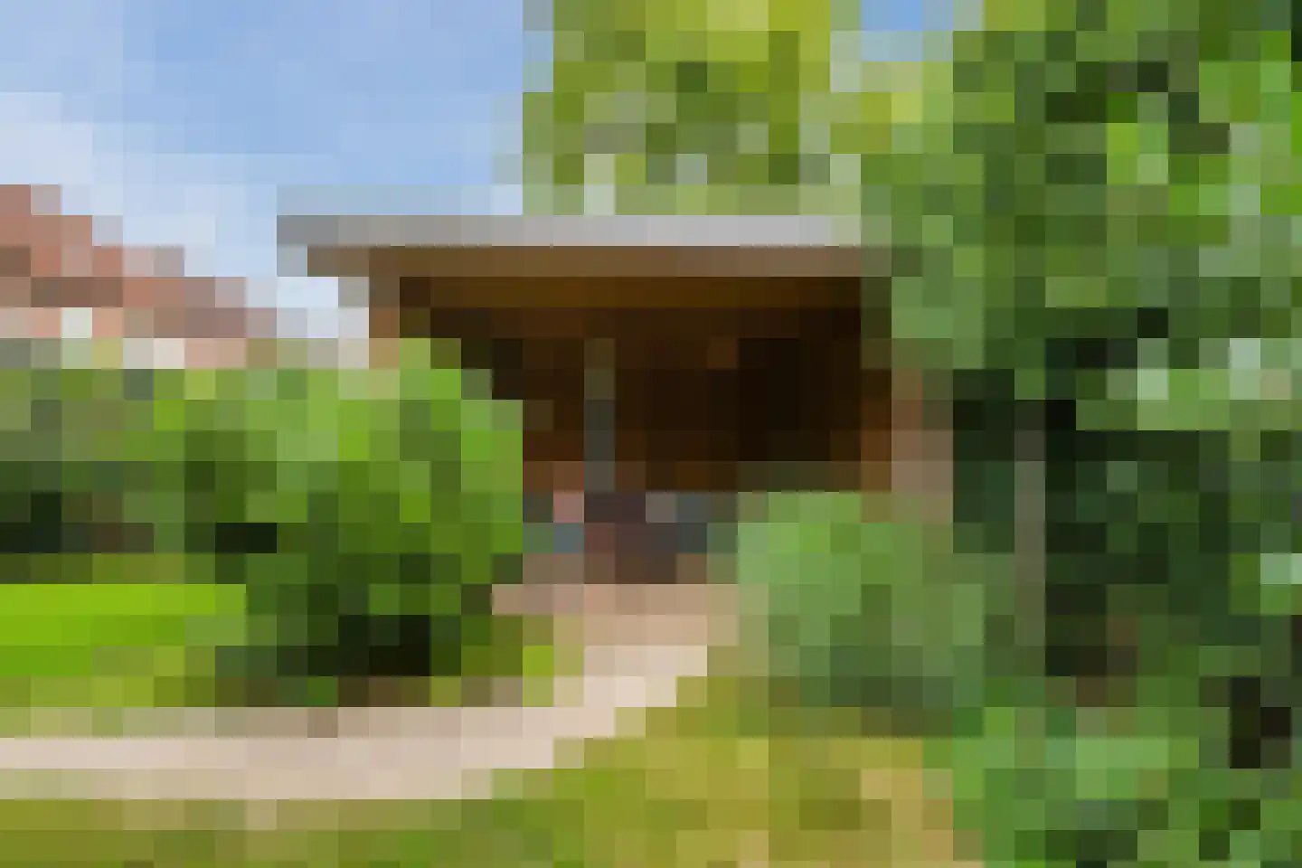 Vogelwikke 9 Meppel thumbnail 42