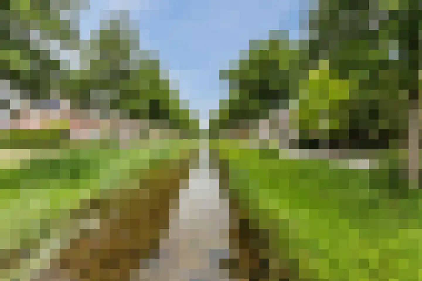 Vogelwikke 9 Meppel thumbnail 43