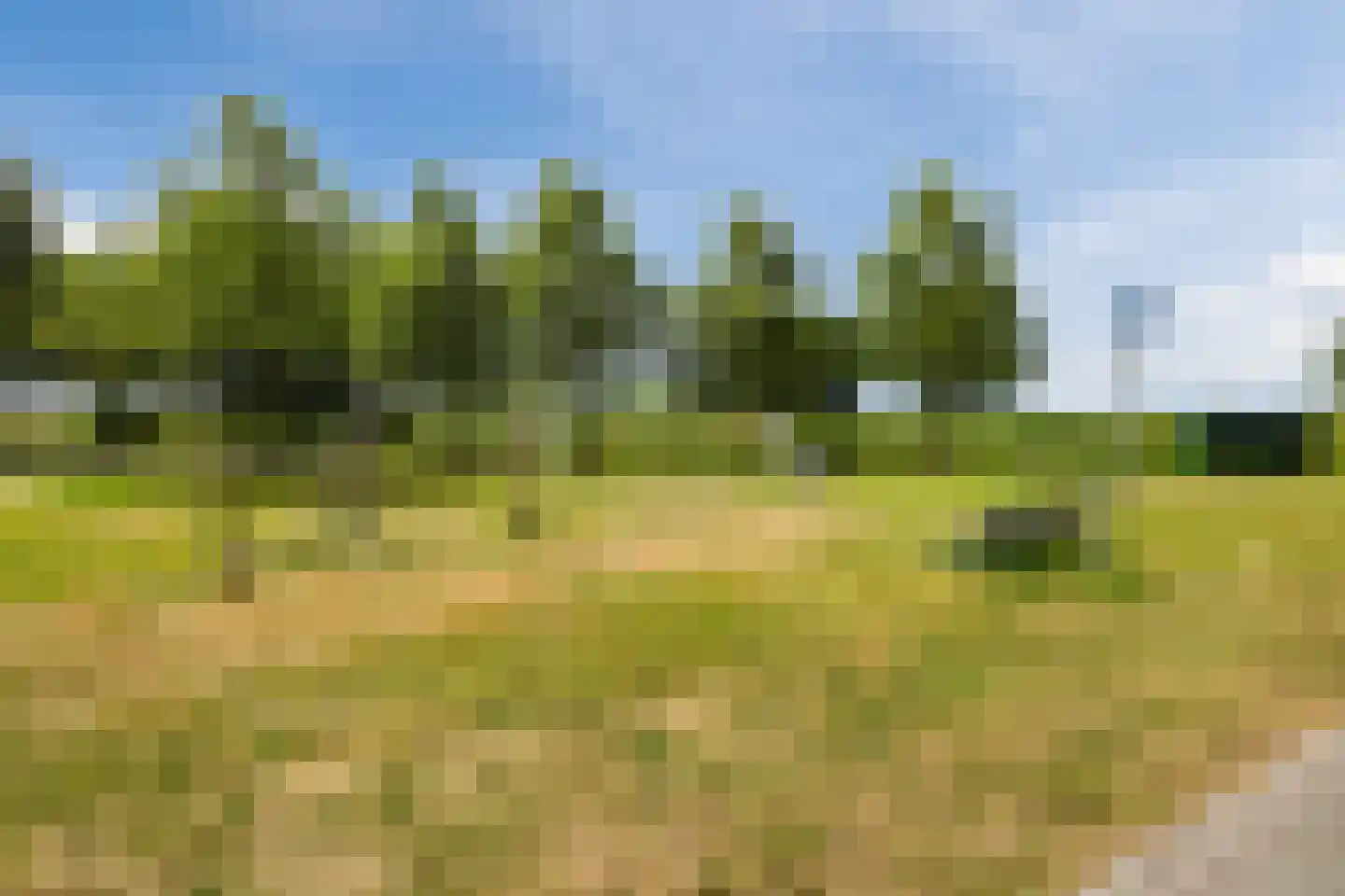 Vogelwikke 9 Meppel thumbnail 44